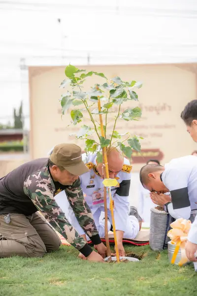 ประมวลภาพพิธีเชิญต้นพระศรีมหาโพธิทศมราชบพิตร ปลูก ณ วัดอมรญาติสมาคม จังหวัดราชบุรี