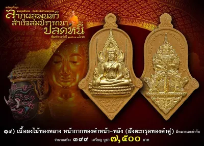 เหรียญพระพุทธชินราช ประทับหลังท้าวเวสสุวรรณ รุ่น ปลดหนี้ หลวงพ่ออิฏฐ์ วัดจุฬามณี ปี ๒๕๖๓ — ภาพถ่ายเนื้อต่างๆ