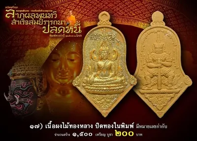 เหรียญพระพุทธชินราช ประทับหลังท้าวเวสสุวรรณ รุ่น ปลดหนี้ หลวงพ่ออิฏฐ์ วัดจุฬามณี ปี ๒๕๖๓ — ภาพถ่ายเนื้อต่างๆ