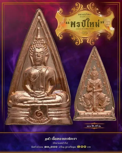 เหรียญหลวงพ่อโสธร ประทับหลังท้าวเวสสุวรรณโณ รุ่น พรปีใหม่ วัดจุฬามณี ปี ๒๕๖๕ — ภาพถ่ายเนื้อต่างๆ พร้อมจำนวนสร้างและราคาบูชา
