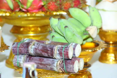 ประมวลภาพพิธีไหว้ครูบูรพาจารย์ วัดจุฬามณี ปี ๒๕๕๘