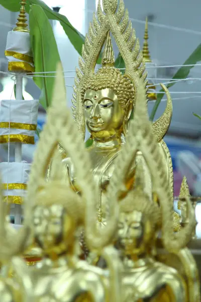 ประมวลภาพพิธีอธิษฐานจิตเดี่ยว หลวงพ่ออิฏฐ์ วัดจุฬามณี ปี ๒๕๕๙