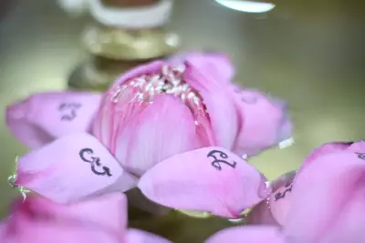 ประมวลภาพพิธีอธิษฐานจิตเดี่ยว หลวงพ่ออิฏฐ์ วัดจุฬามณี ปี ๒๕๕๙