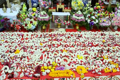ประมวลภาพงานทำบุญอายุวัฒนมงคล ๖๐ ปี หลวงพ่ออิฏฐ์ วัดจุฬามณี ปี ๒๕๕๙