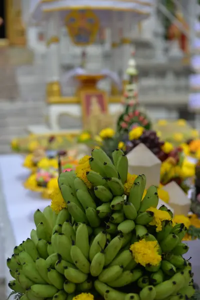 ประมวลภาพพิธีพุทธาภิเษกเหรียญเสมาบรมครู ท้าวเวสสุวรรณโณ รุ่นสร้างบารมี วัดจุฬามณี ปี ๒๕๖๐