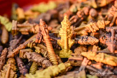 ประมวลภาพพิธีสวดนพเคราะห์ วัดจุฬามณี ปี ๒๕๖๒