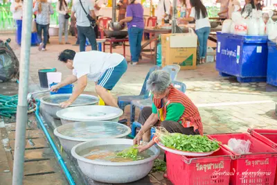 ประมวลภาพพิธีสวดนพเคราะห์ วัดจุฬามณี ปี ๒๕๖๒