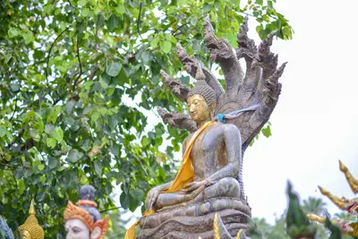 ประมวลภาพพิธีบวงสรวง ณ วังนาคินทร์คำชะโนด จังหวัดอุดรธานี ปี ๒๕๖๓