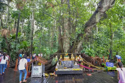 ประมวลภาพพิธีบวงสรวง ณ วังนาคินทร์คำชะโนด จังหวัดอุดรธานี ปี ๒๕๖๓