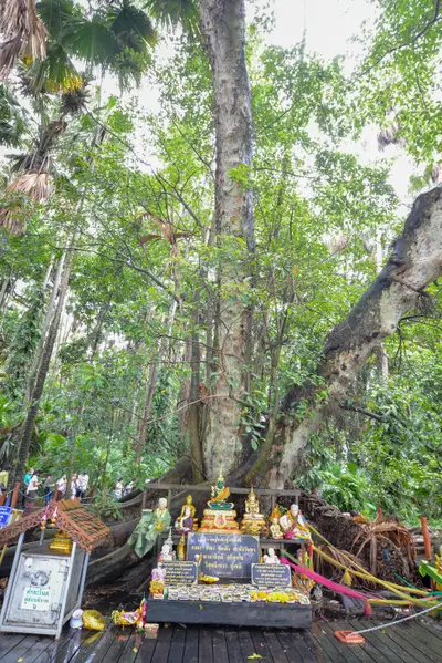 ประมวลภาพพิธีบวงสรวง ณ วังนาคินทร์คำชะโนด จังหวัดอุดรธานี ปี ๒๕๖๓