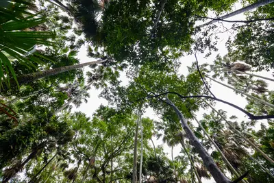 ประมวลภาพพิธีบวงสรวง ณ วังนาคินทร์คำชะโนด จังหวัดอุดรธานี ปี ๒๕๖๓