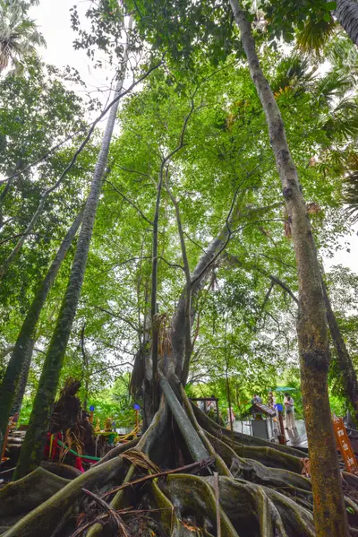 ประมวลภาพพิธีบวงสรวง ณ วังนาคินทร์คำชะโนด จังหวัดอุดรธานี ปี ๒๕๖๓