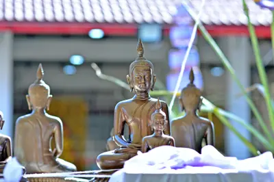 ประมวลภาพพิธีสวดนพเคราะห์ วัดจุฬามณี ปี ๒๕๖๓