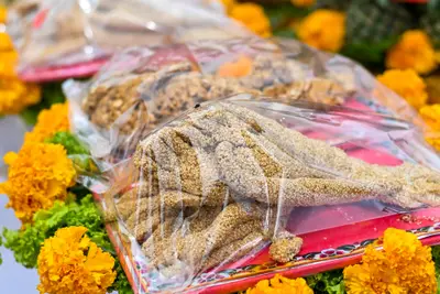 ประมวลภาพพิธีพุทธาภิเษกเหรียญจำปี ปฐมพรหมจตุมหาราชิกา รุ่น ๑ ปี ๒๕๖๔