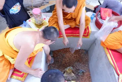 ประมวลภาพพิธีบรรจุมวลสารและยกองค์พระประธานขึ้นประดิษฐาน วัดจุฬามณี ปี ๒๕๖๖