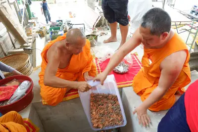 ประมวลภาพพิธีบรรจุมวลสารและยกองค์พระประธานขึ้นประดิษฐาน วัดจุฬามณี ปี ๒๕๖๖