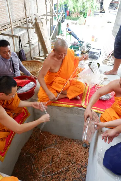 ประมวลภาพพิธีบรรจุมวลสารและยกองค์พระประธานขึ้นประดิษฐาน วัดจุฬามณี ปี ๒๕๖๖
