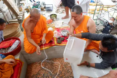 ประมวลภาพพิธีบรรจุมวลสารและยกองค์พระประธานขึ้นประดิษฐาน วัดจุฬามณี ปี ๒๕๖๖